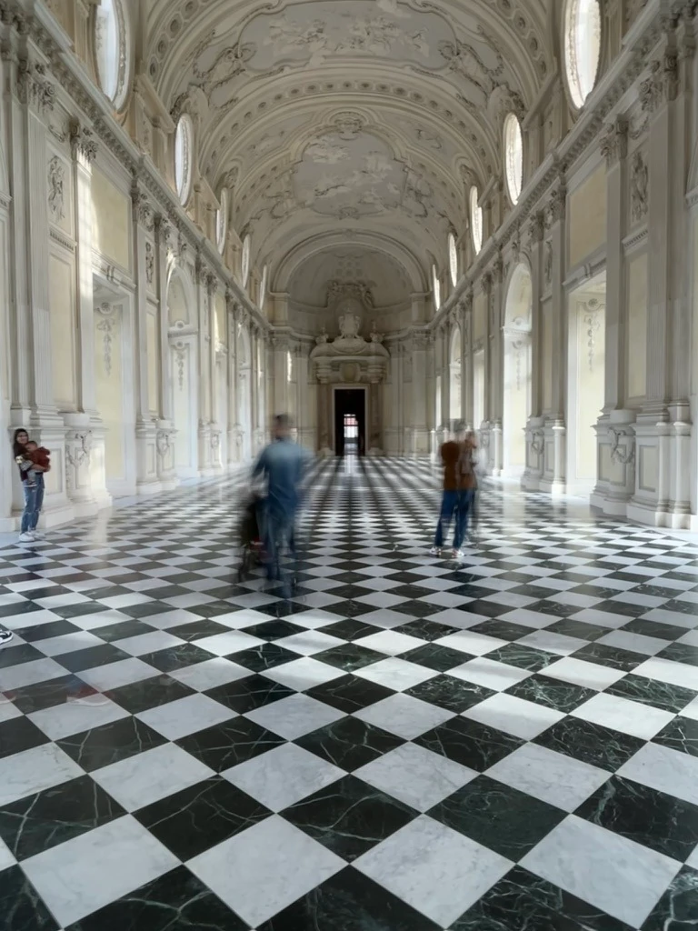 royal palaces in turin